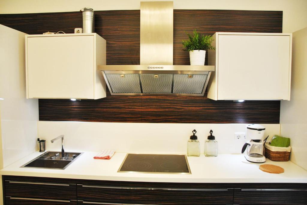 Schoenbrunn Park Apartement Vienna Room photo